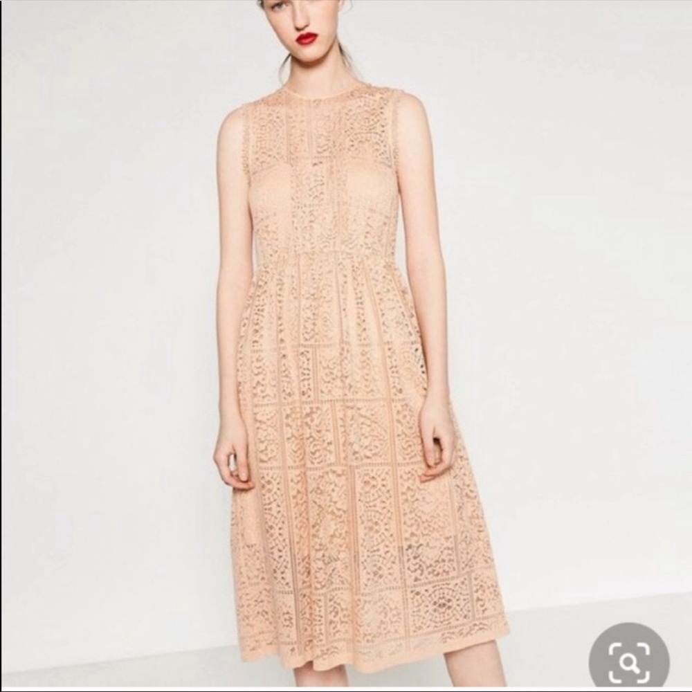 ZARA blush lace dress
